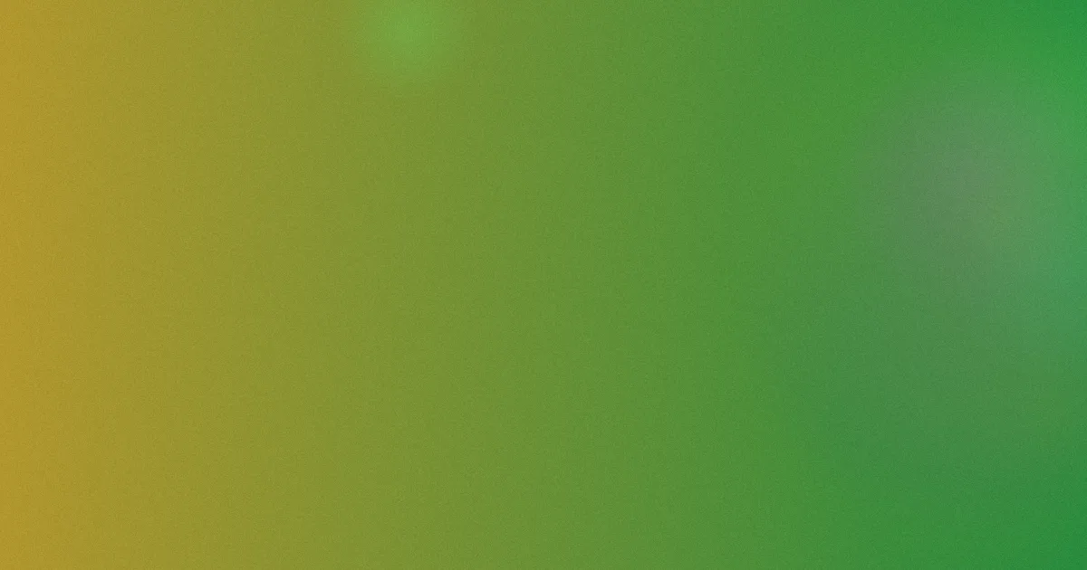 郑则仕推荐：新手补片路线